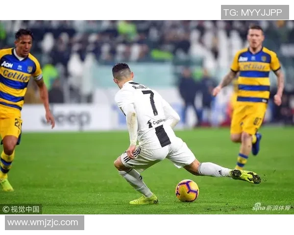 南京排球队边路渗透创新探索与战术变革的深度剖析