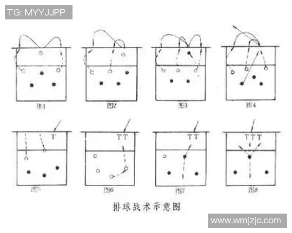 成都排球队在冠军赛中的耐力展现与战术分析