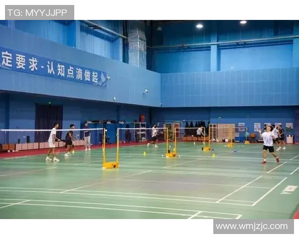 深圳羽毛球队全运会表现分析与状态评估探讨