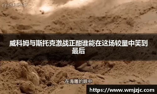 威廉希尔