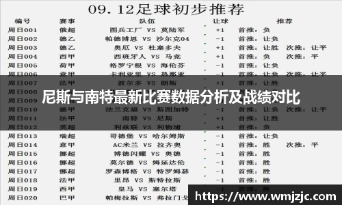 尼斯与南特最新比赛数据分析及战绩对比